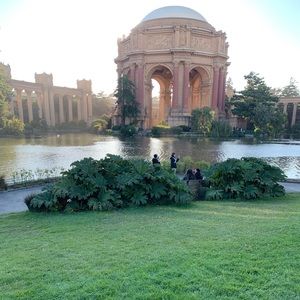 Meet your Posher, Emma